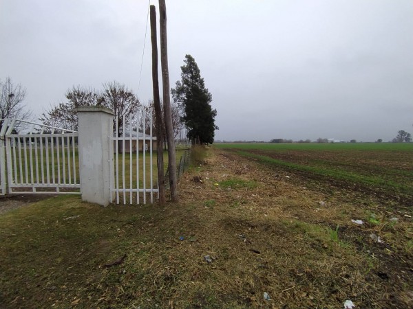 19 HA EN PIÑERO, CERCA DEL PUEBLO! 15.000 dolares la hectarea.