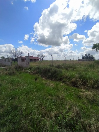 Los pinos, lote inmenso, junto al country Golf La Carolina.