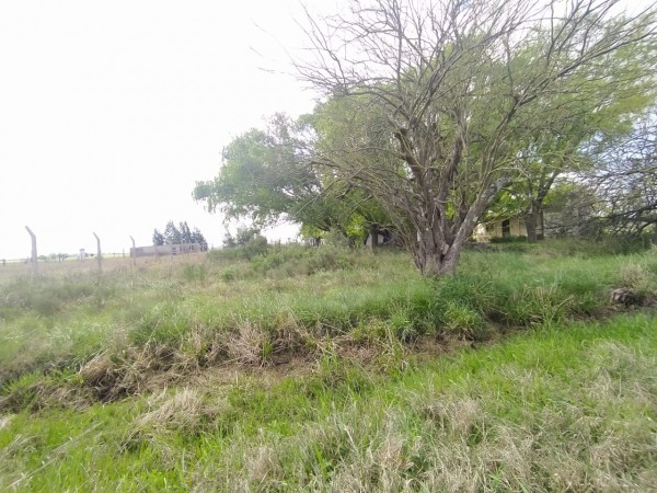 Los pinos, lote de 1100 m2 , junto al country Golf La Carolina. Monte Flores.