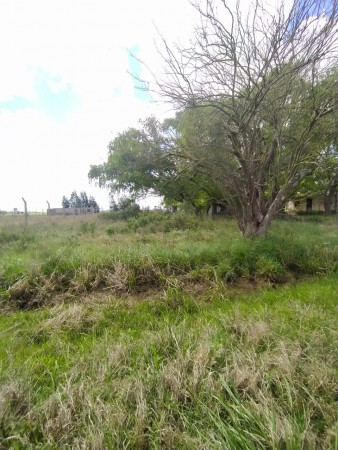 Los pinos, lote de 1100 m2 , junto al country Golf La Carolina. Monte Flores.