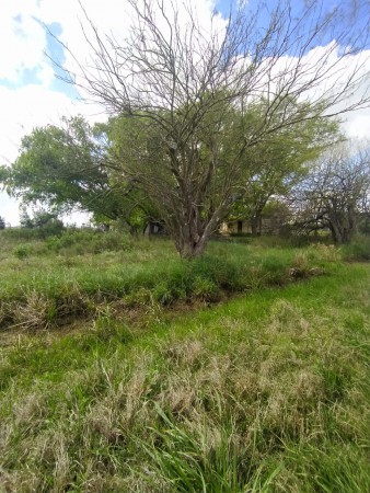 Los pinos, lote de 1100 m2 , junto al country Golf La Carolina. Monte Flores.