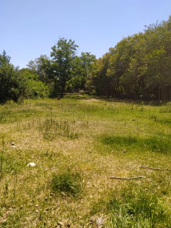 LOTES OLIVEROS, 450 M2, ZONA CENTRICA, A POCAS CUADRAS DEL RIO.