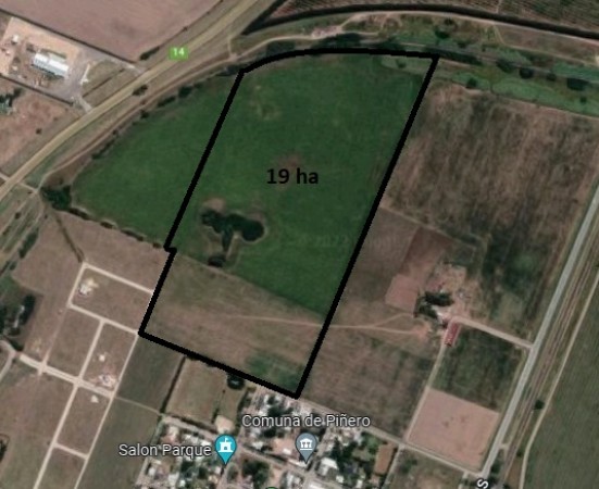 19 HA EN PIÑERO, CERCA DEL PUEBLO! 15.000 dolares la hectarea.