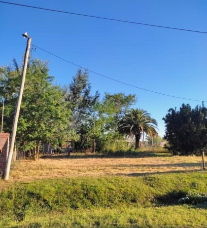 Luis Palacios, Terreno, calle Francisco Peñaloza y Juan XXIII, 330 m2. 