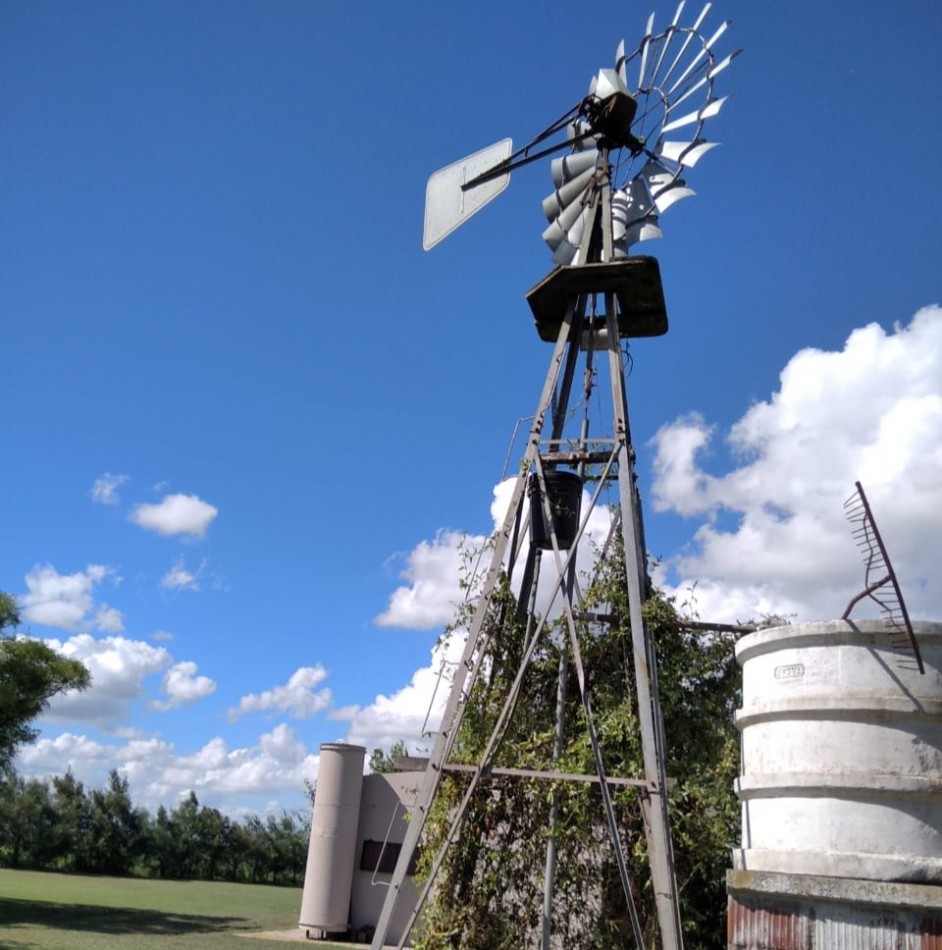 Salto Grande, casa quinta, sobre campo de 11 hectareas, 9 productivas.