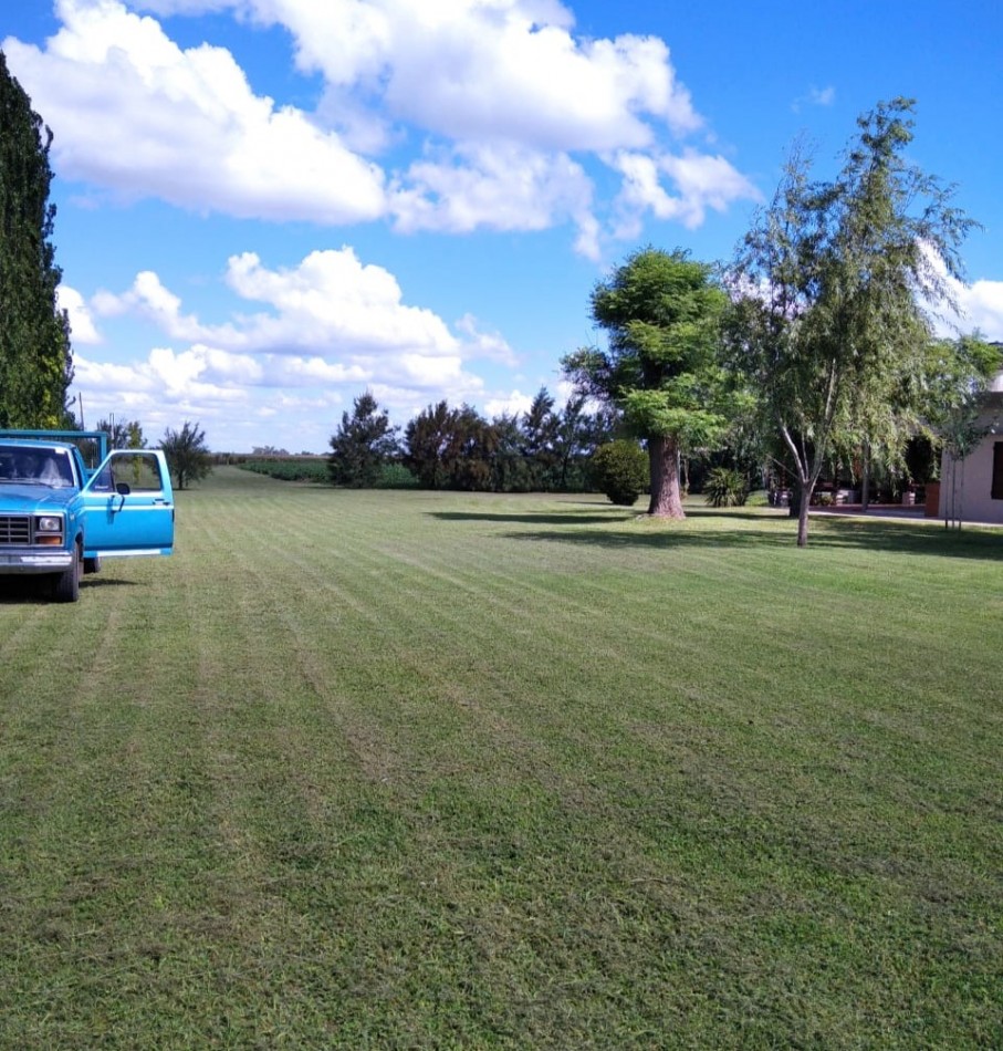 Salto Grande, casa quinta, sobre campo de 11 hectareas, 9 productivas.