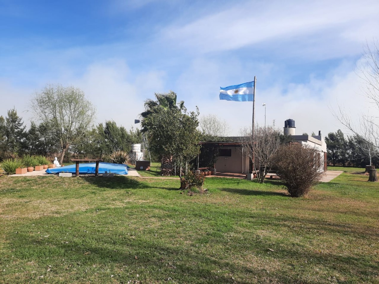 Salto Grande, casa quinta, sobre campo de 11 hectareas, 9 productivas.