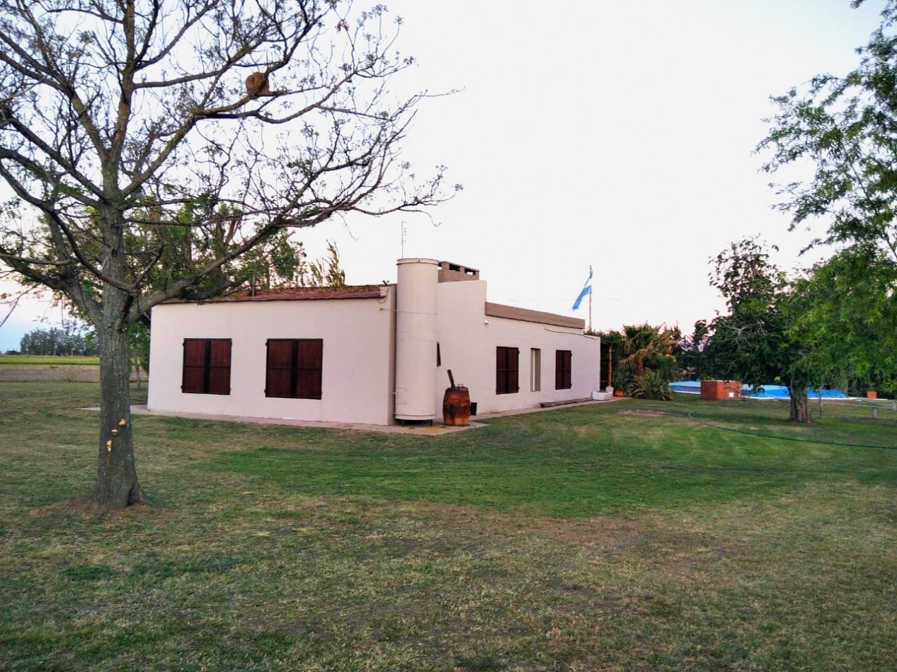 Salto Grande, casa quinta, sobre campo de 11 hectareas, 9 productivas.