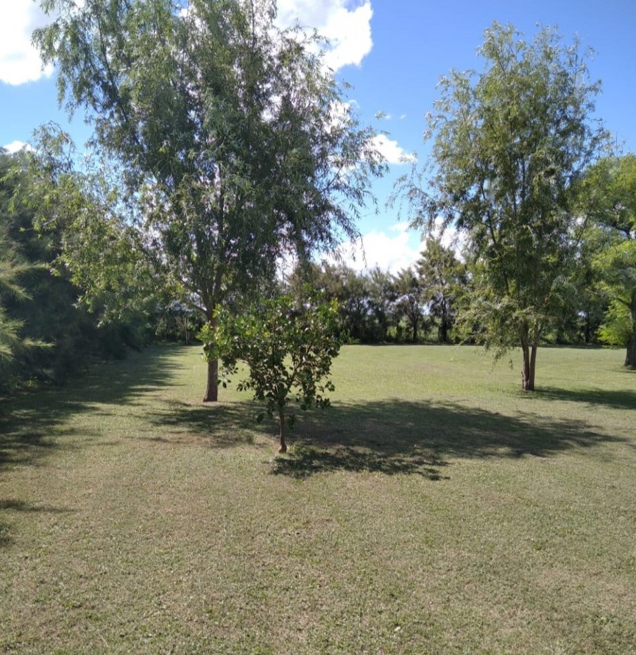 Salto Grande, casa quinta, sobre campo de 11 hectareas, 9 productivas.