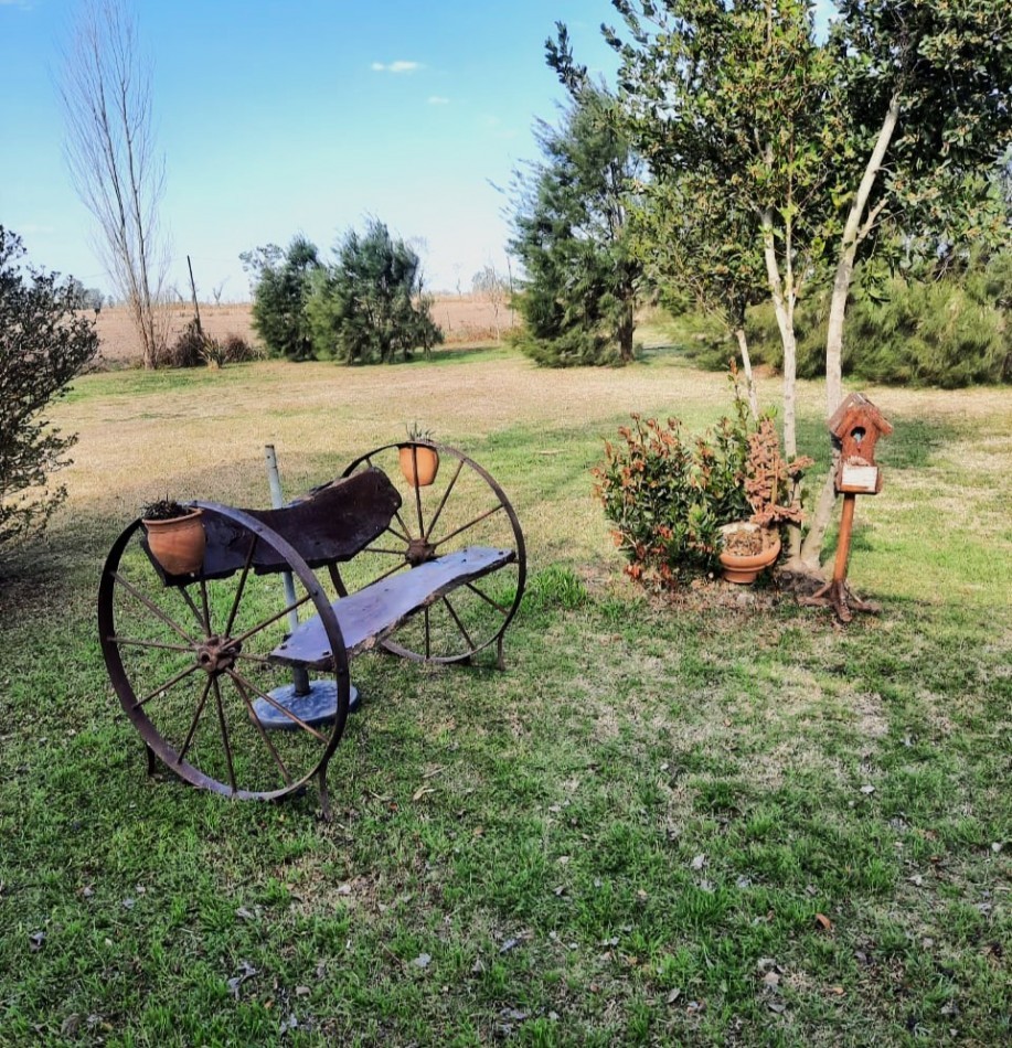 Salto Grande, casa quinta, sobre campo de 11 hectareas, 9 productivas.