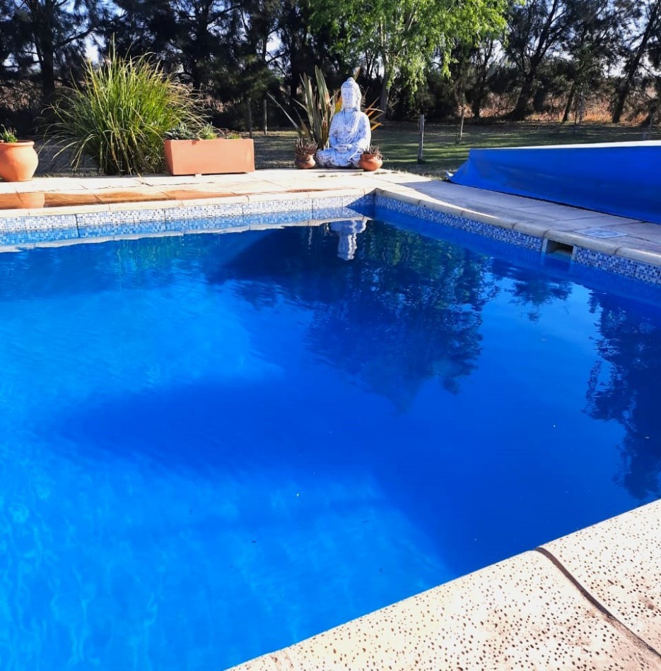 Salto Grande, casa quinta, sobre campo de 11 hectareas, 9 productivas.