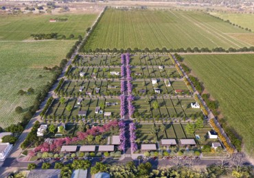 TERRA, Loteo en localidad de Alvarez, desde 312 m2, a 25 minutos de Rosario.