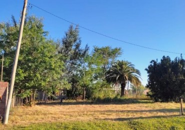 Luis Palacios, Terreno, calle Francisco Peñaloza y Juan XXIII, 330 m2. 