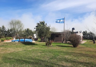 Salto Grande, casa quinta, sobre campo de 11 hectareas, 9 productivas.