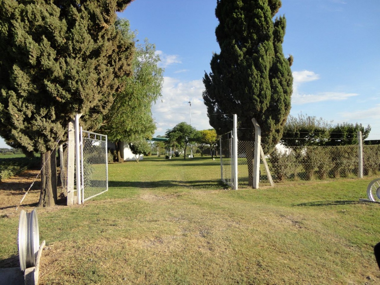 Fighiera, Campo de 2 hectareas, casa de un dormitorio y cuarto de guardado.