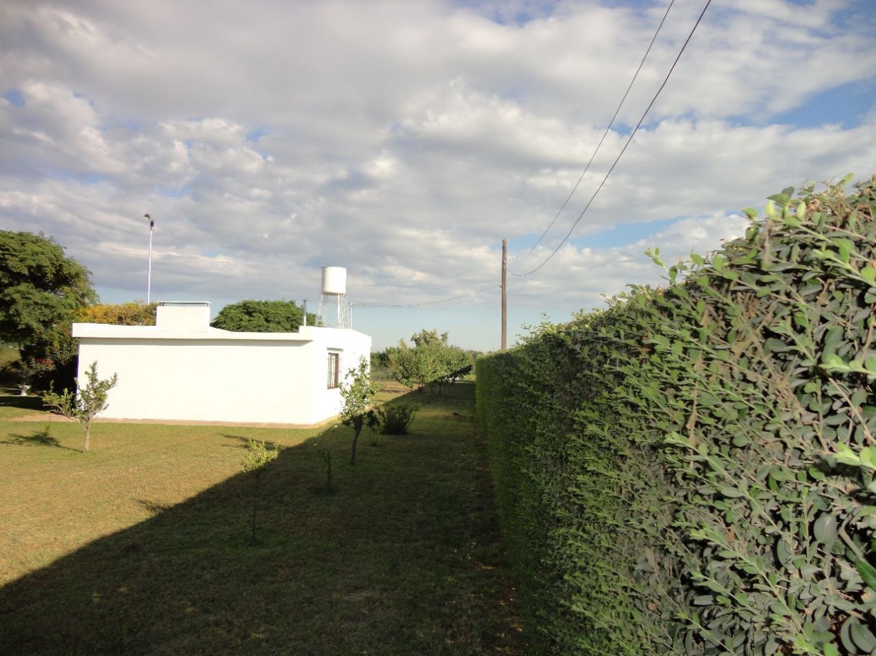 Fighiera, Campo de 2 hectareas, casa de un dormitorio y cuarto de guardado.