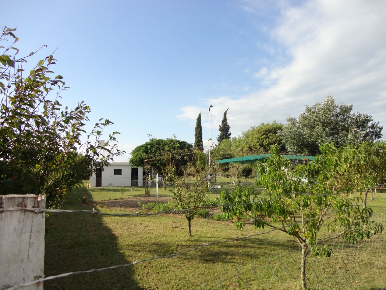 Fighiera, Campo de 2 hectareas, casa de un dormitorio y cuarto de guardado.