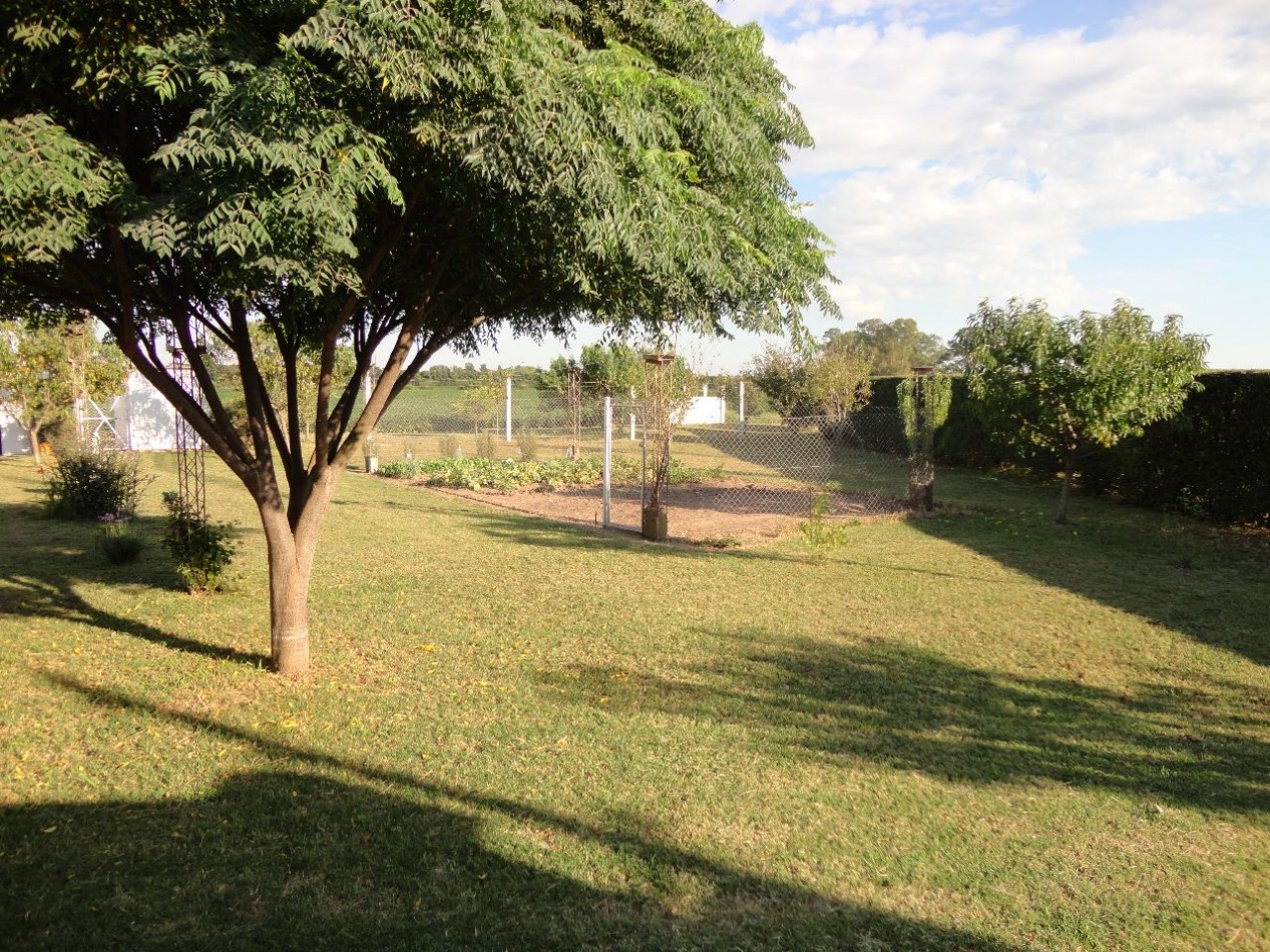 Fighiera, Campo de 2 hectareas, casa de un dormitorio y cuarto de guardado.