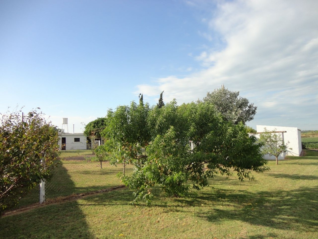 Fighiera, Campo de 2 hectareas, casa de un dormitorio y cuarto de guardado.