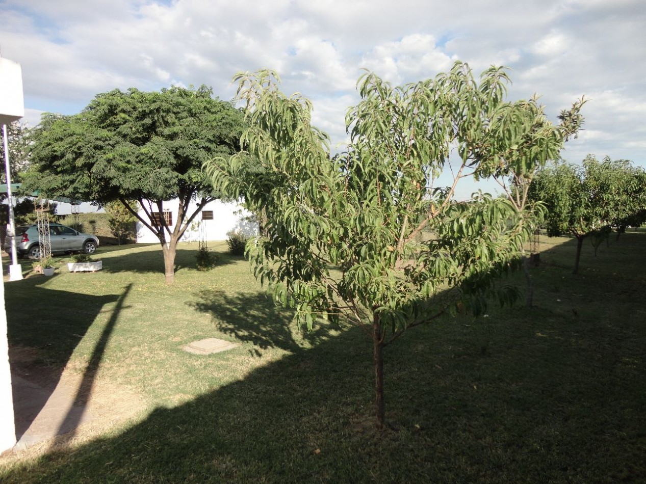 Fighiera, Campo de 2 hectareas, casa de un dormitorio y cuarto de guardado.