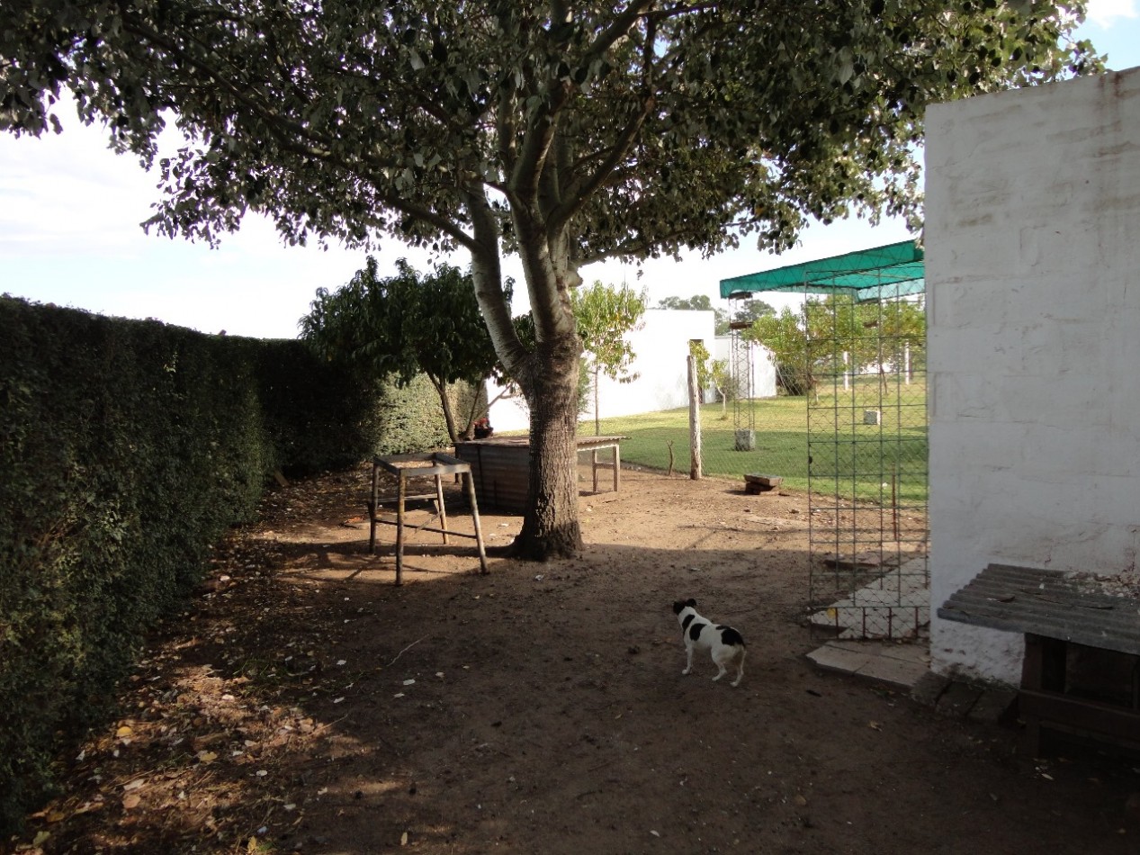 Fighiera, Campo de 2 hectareas, casa de un dormitorio y cuarto de guardado.