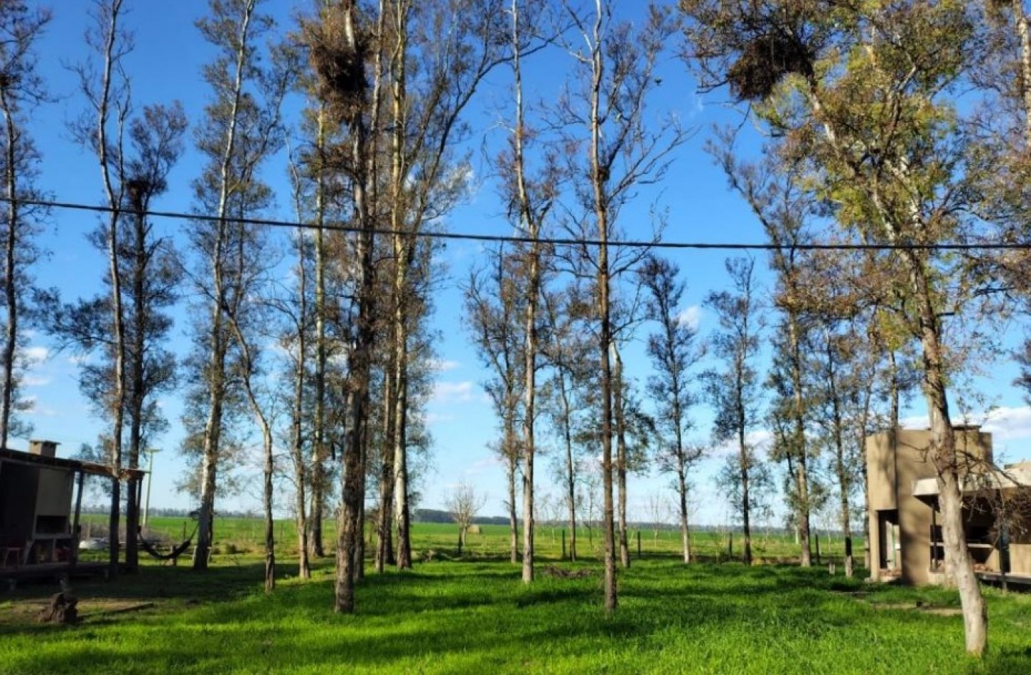 Campo Timbo, Oliveros, 631m2. 
