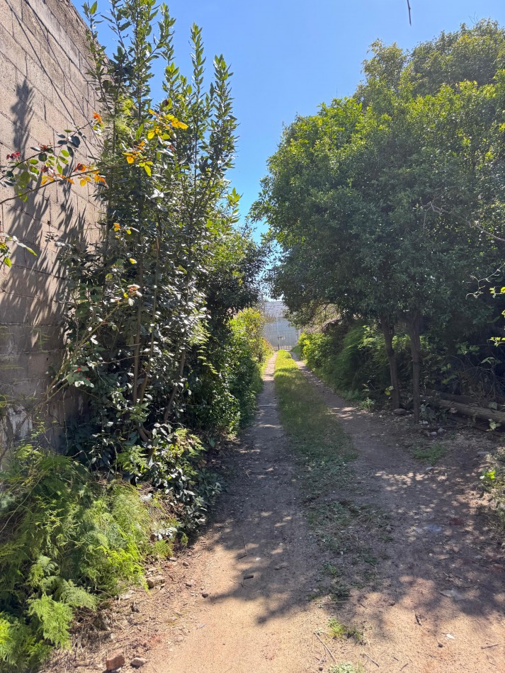 Sanchez Bustamante 2700, amplio terreno con galpon de 300 m2