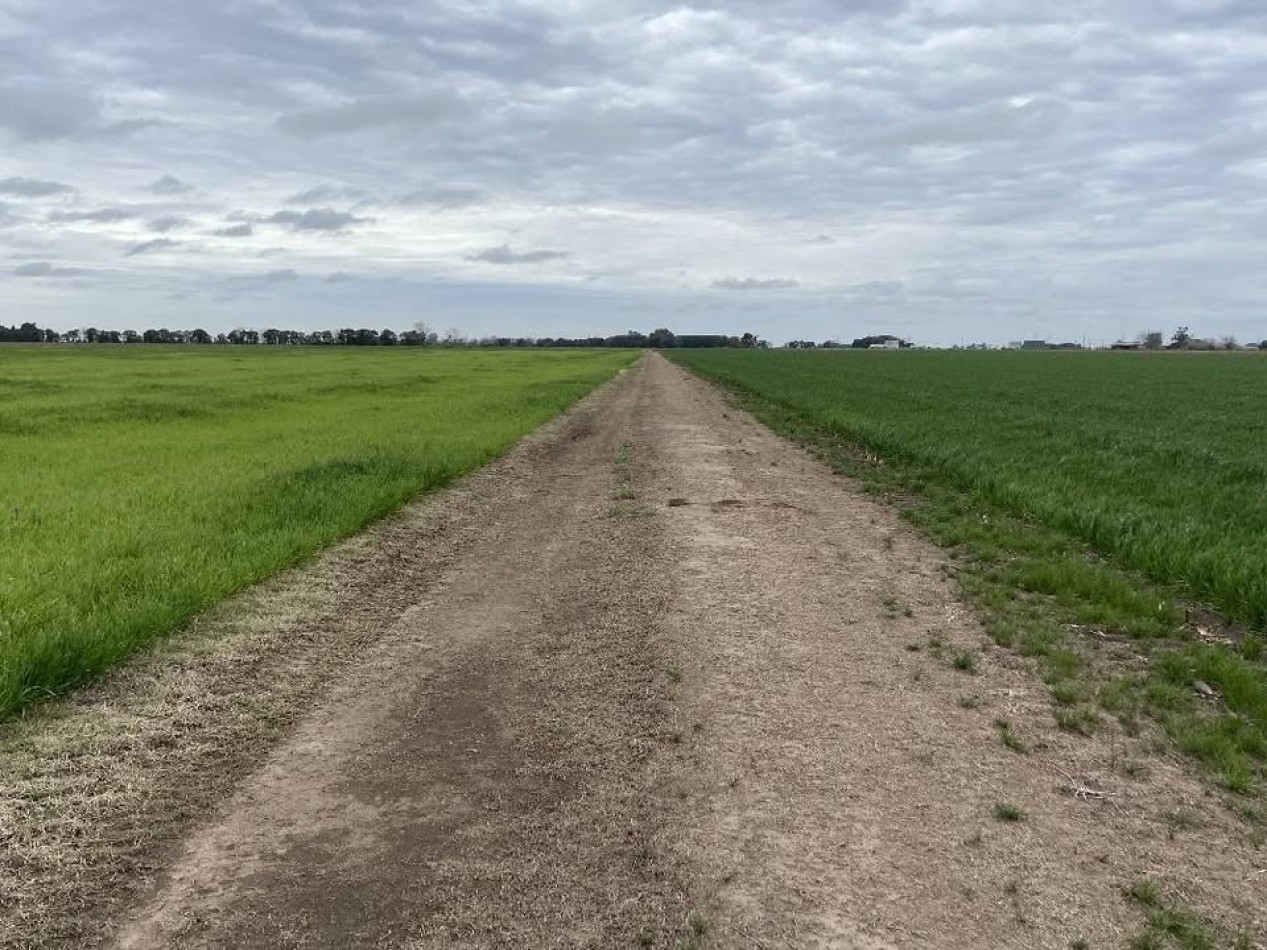 Campo de 2 hectareas, altura general lagos, a pocos minutos de la autopista Rosario-Buenos Aires