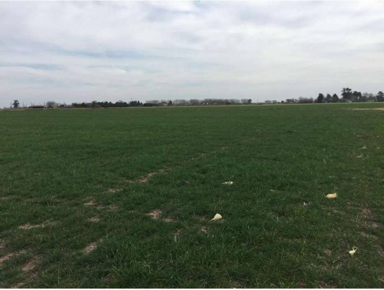 Campo de 2 hectareas, altura general lagos, a pocos minutos de la autopista Rosario-Buenos Aires