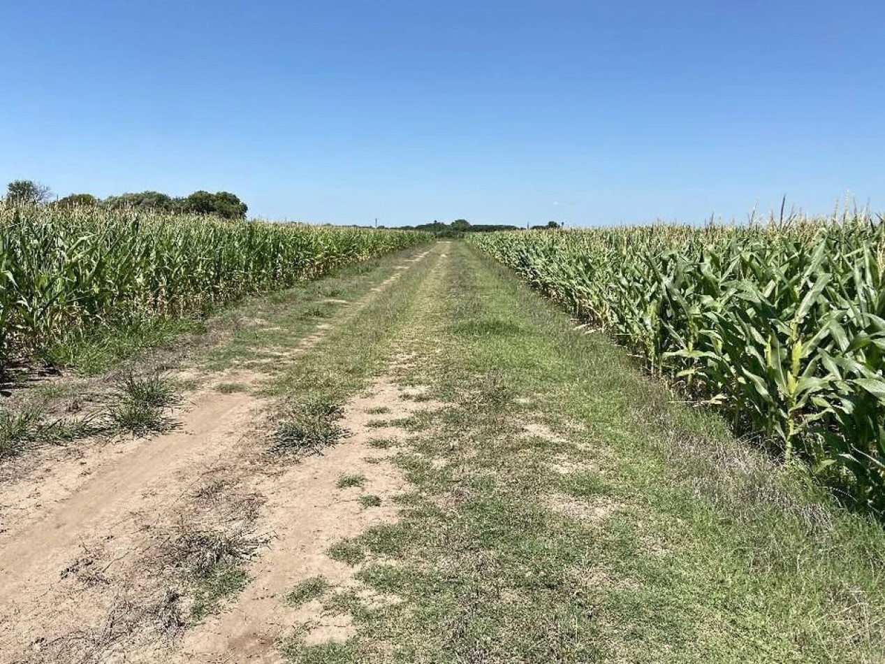 Campo de 2 hectareas, altura general lagos, a pocos minutos de la autopista Rosario-Buenos Aires
