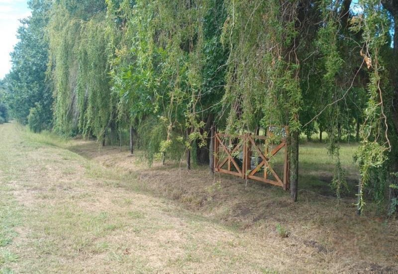 Los Muchachos, hermoso terreno de 1368 m2, arboleda.