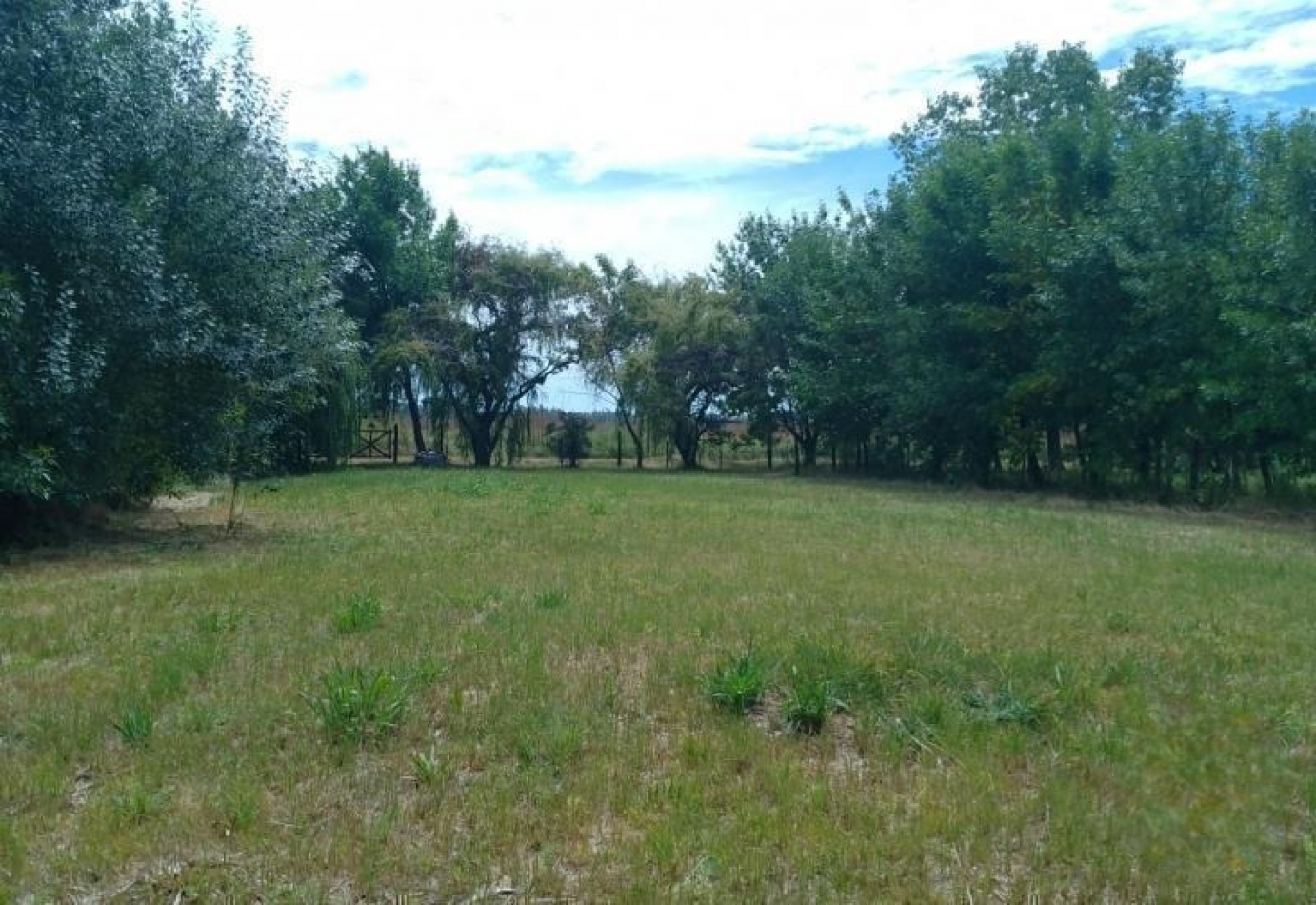 Los Muchachos, hermoso terreno de 1368 m2, arboleda.