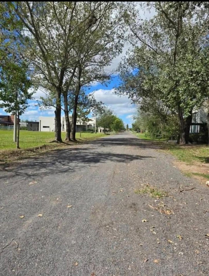 LOTE EN VENTA | LAS CASUARINAS - IBARLUCEA