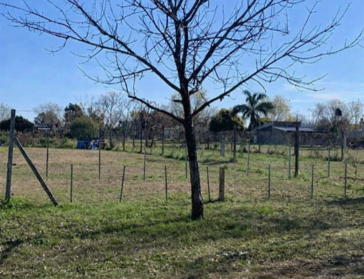 Andino de Oro 2, 370 m2, a metros de la Ruta, 