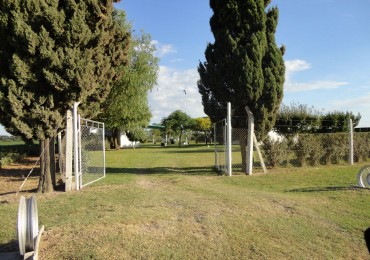 Fighiera, Campo de 2 hectareas, casa de un dormitorio y cuarto de guardado.