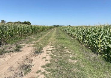 Campo de 2 hectareas, altura general lagos, a pocos minutos de la autopista Rosario-Buenos Aires